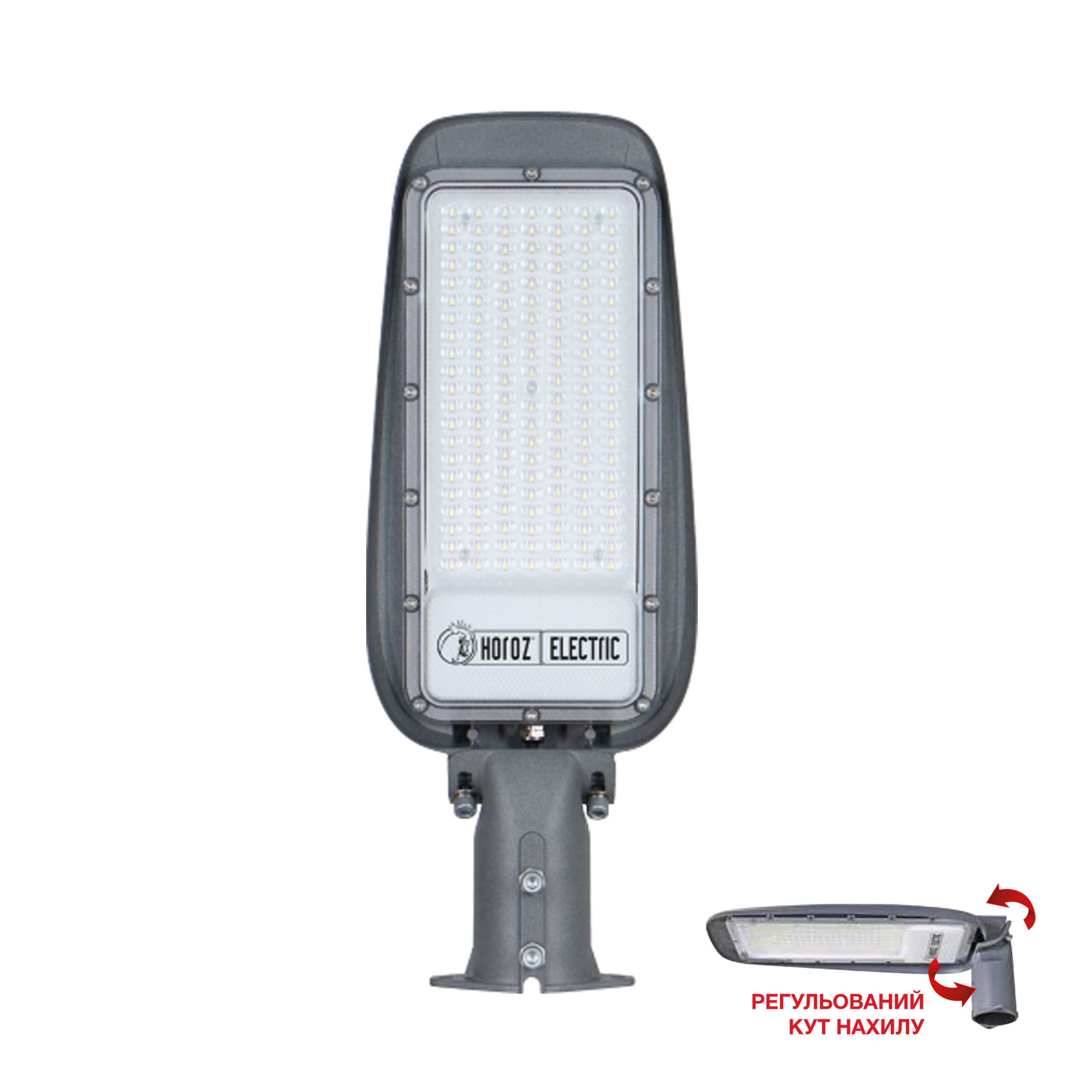 florida-100-1-scaled