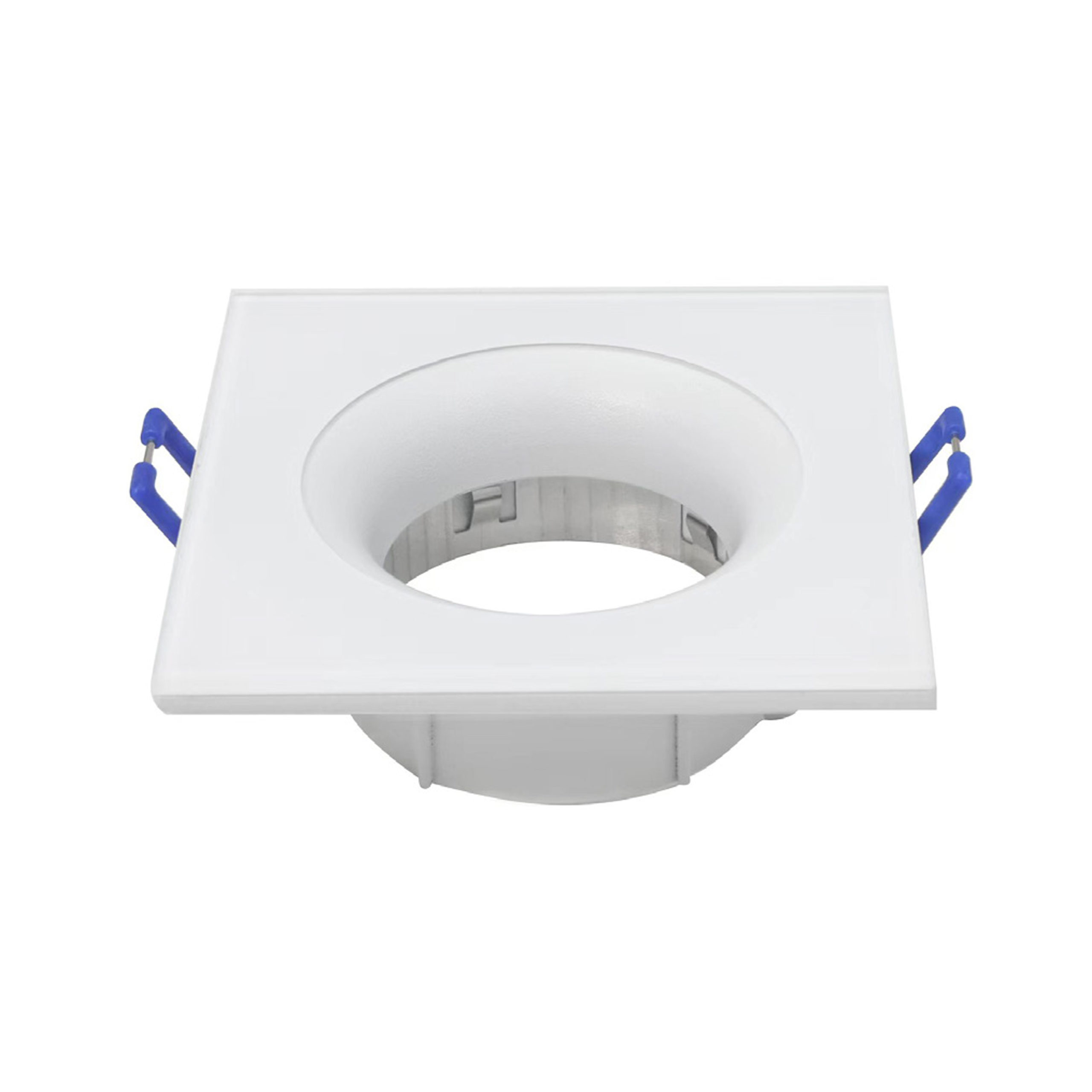 kaktus-s-bilyj-scaled