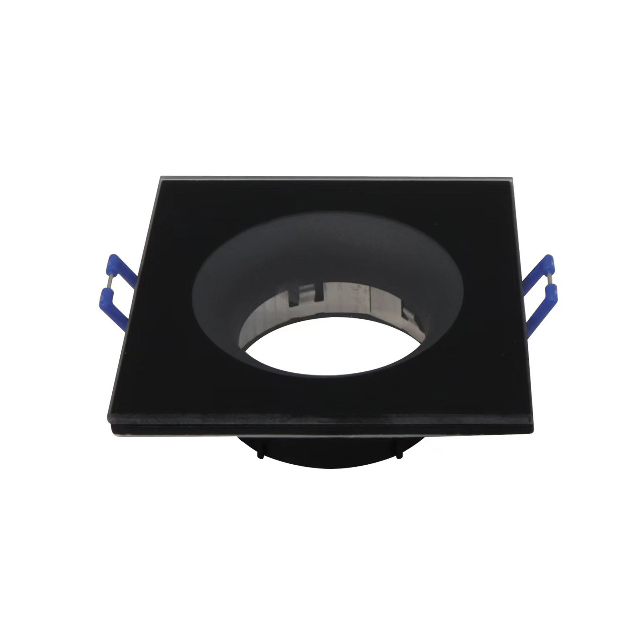 kaktus-s-chornyj-scaled