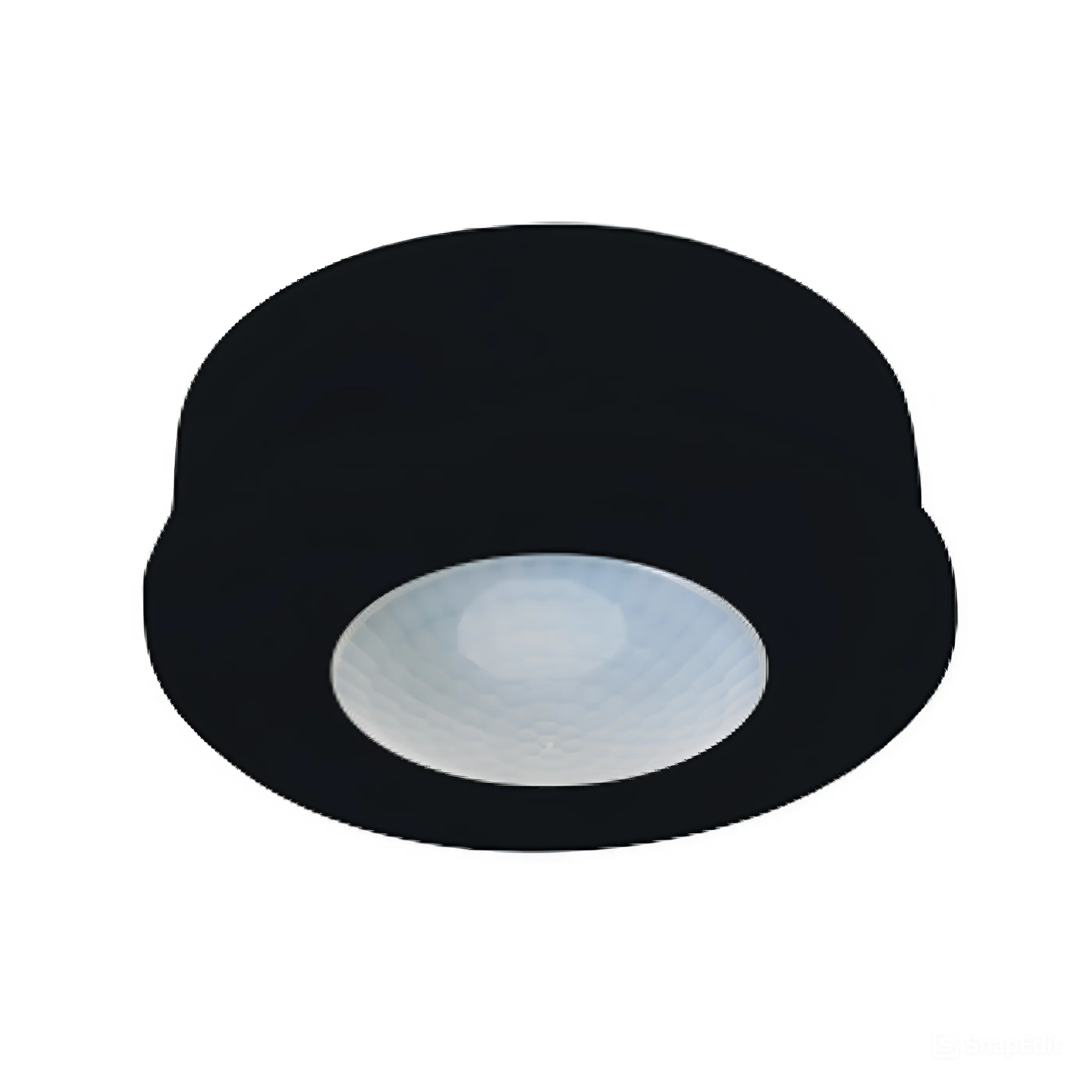 snapedit_1740662818650